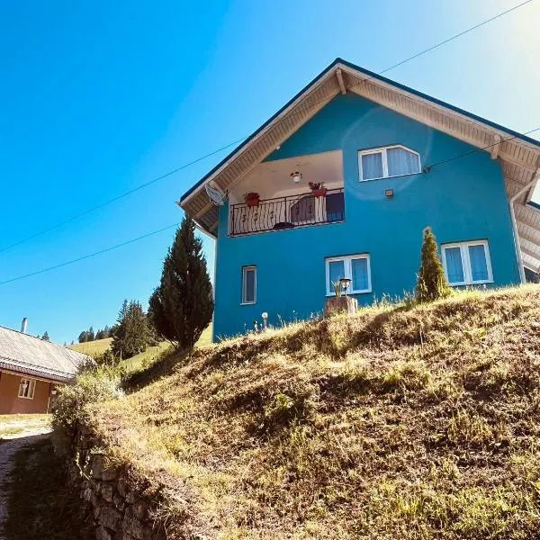 Casa Butunoi, hotel v destinácii Dămuc