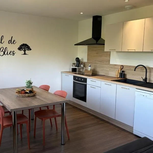 Au fil de la Blies, hotel Bliesbruck városában