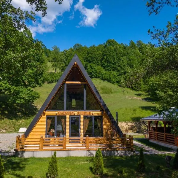 Cabana Ulici A-frame, hotel i Bîrsana