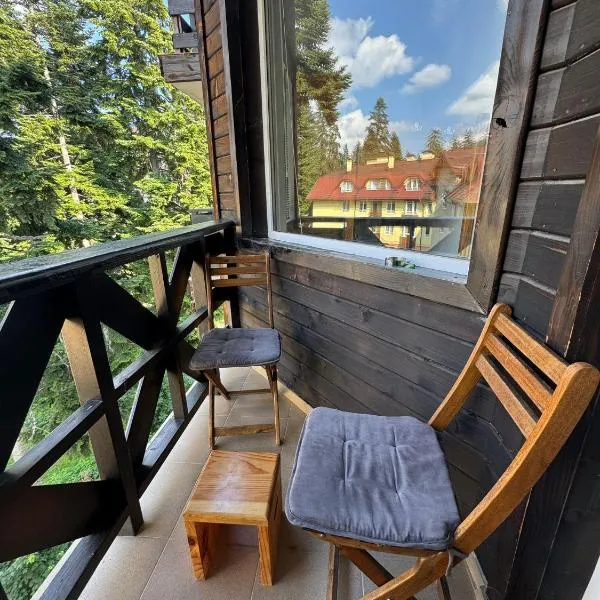 Iglika 2 - Studio Cabin - Apartment 10, hotelli kohteessa Borovets