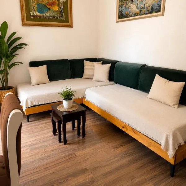 Apartament Drasa, hotel in Gjirokastër