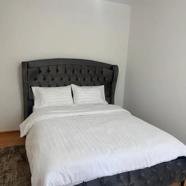 Apartament Central Pietonalul Unirii, Hotel in Botoşani