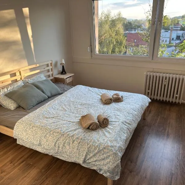 Apartmán Volary – hotel w mieście Volary