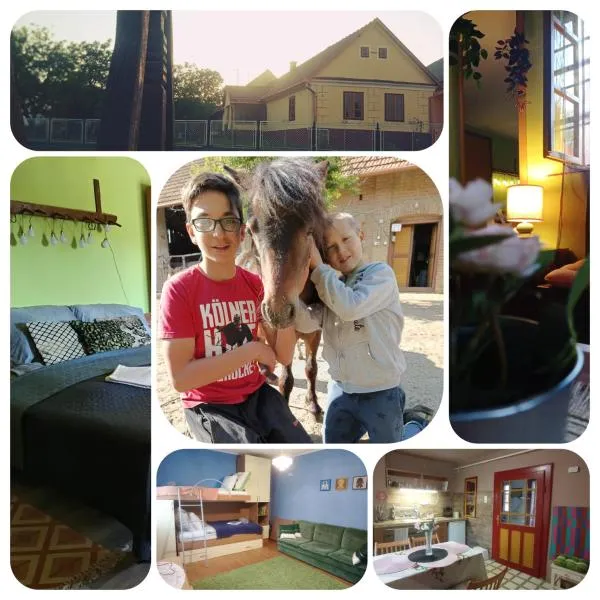 Póni Kuckó Vendégház és Minifarm, hotel in Hosszúvölgy