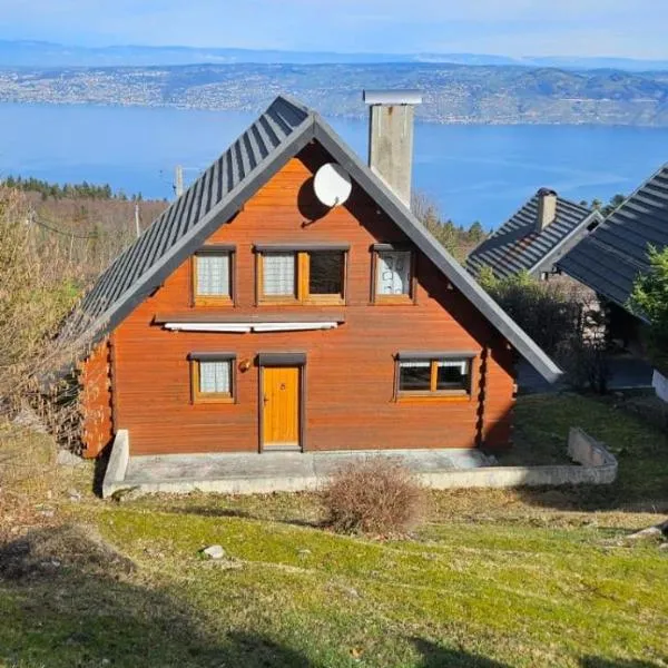 Chalet les Alpages vue panoramique sur le lac Léman, хотел в Толон