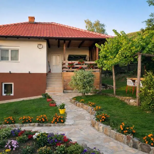 Apartmani Ružina staza, hotell i Rudnik