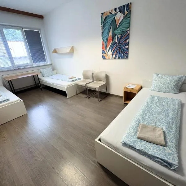Apartmans and ROOMS with PARKING Turgenevova - Olomoucka, hótel í Brno