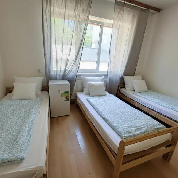 Apartmans and ROOMS with PARKING Turgenevova - Olomoucka, hotelli kohteessa Brno