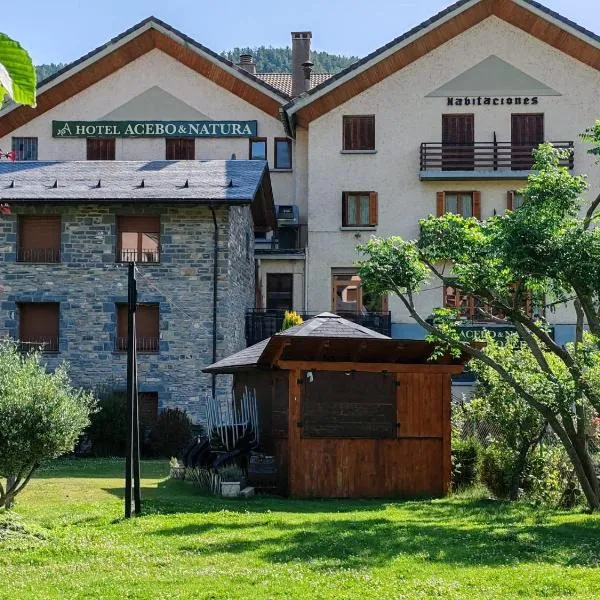 Hotel Acebo & Natura, hotel en Castiello de Jaca