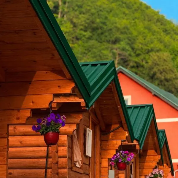 Dedushi Guesthouse &Wood cabins-Camping place, hotel u gradu 'Vusanje'