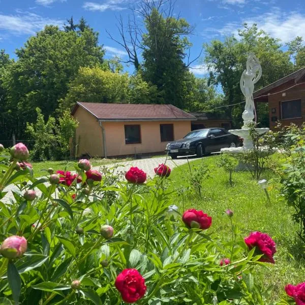 Babér Apartmanház Balatonakarattya, hotell sihtkohas Balatonkenese