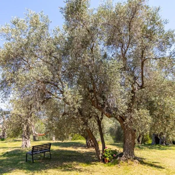 Whisper of Olives -Luxury, Privacy, Stunning Views, hotel em Bar