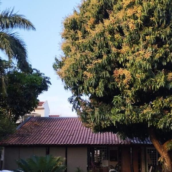 Jacuzzi privativa e aquecida, área gourmet, ar condicionado, wi-fi