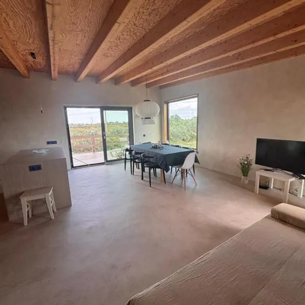 Casa Zaan, hotel v destinaci Sulina