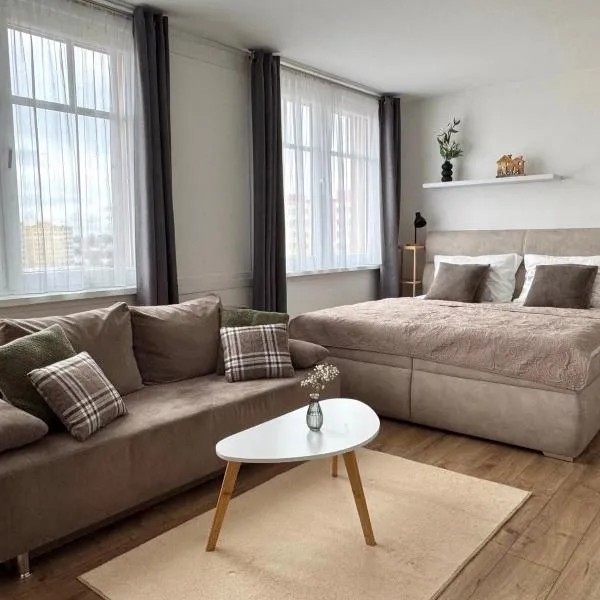 Smarty Choice Living with FREE PARKING - Vondroušova: Prag'da bir otel