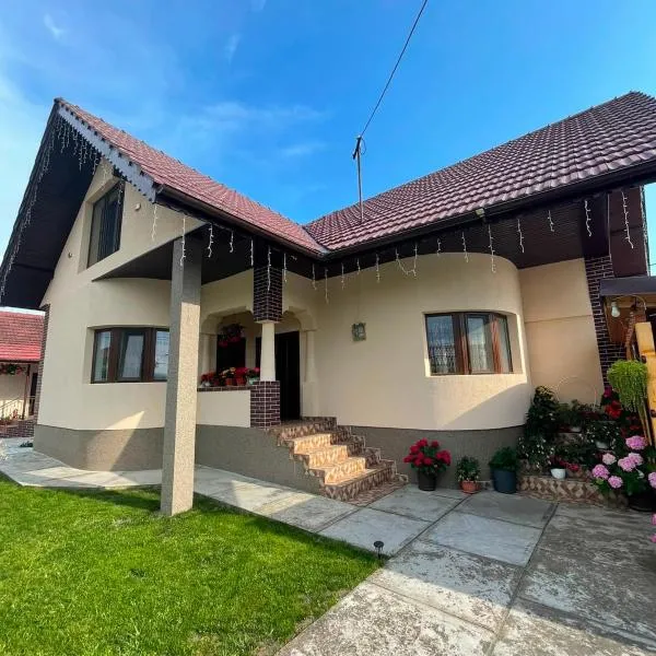 Pensiunea CAV, hotel sa Novaci-Străini