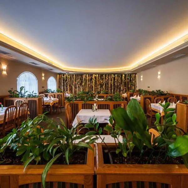 Hotel u Crlíků, hotel u gradu 'Tetčice'