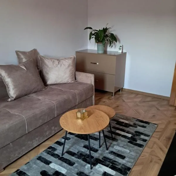 Cazare Apartament، فندق في Dobra