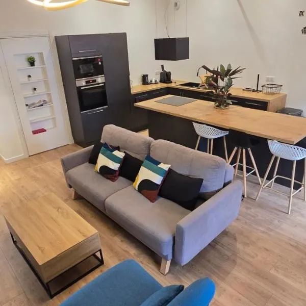 TheSecret 8 couchages, Sanctuaires et gare 5mn Climatisé , salle de sport terasse, hotel in Lourdes