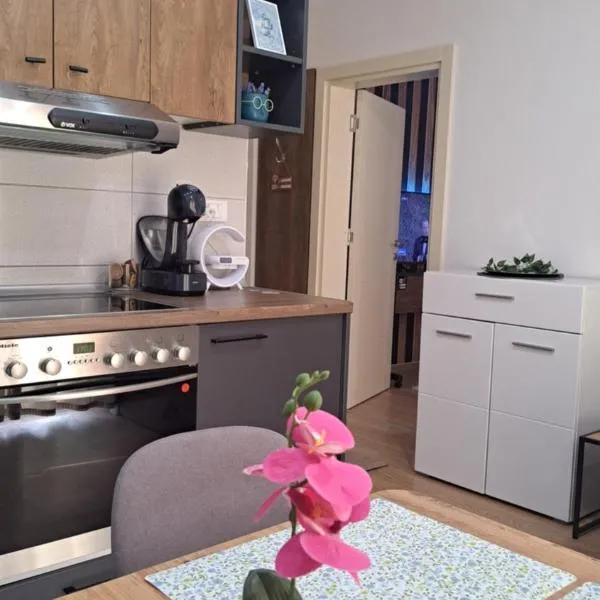 Apartman Brankovic, hotel di Jagodina