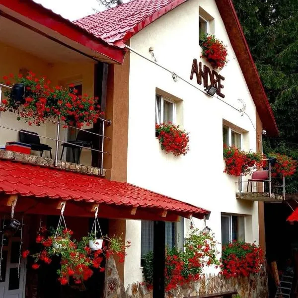 Cabana Andre Vartop, hotel a Vârtop