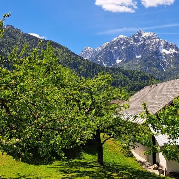Apartma Pirc, hotel en Kranjska Gora