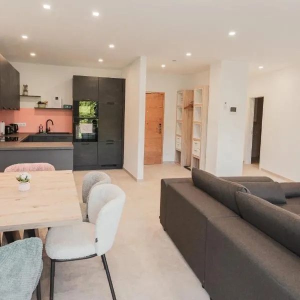 Genuss Apartment Basic, hotel a Purbach am Neusiedlersee