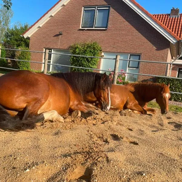 Equi Guidance Studio, hotel sa Wapenveld