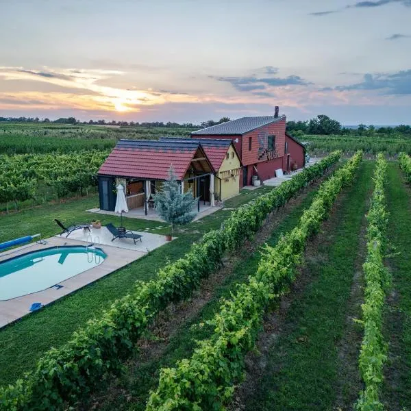Casa VIDA, hotel din Neštin