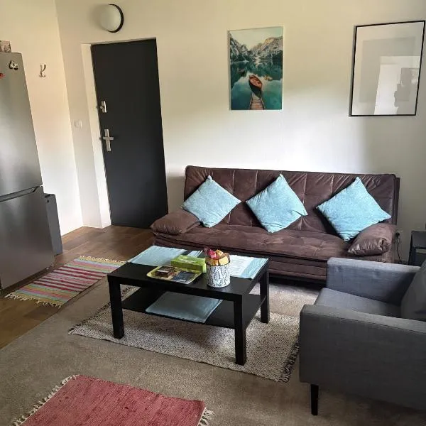 1 Bedroom Flat Own Entrance, hotel u gradu Vratimov