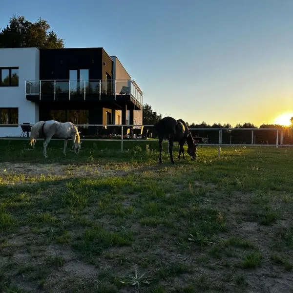 Modern Rancho - apartamenty nad rzeką, przy stadninie koni, hotel em Kruszyna