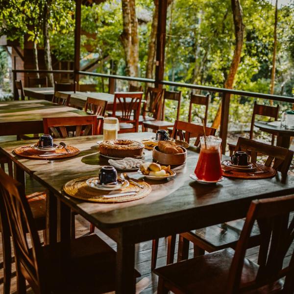 Noite mágica com macacos na Villa Arapiuns - Bangalôs na Floresta - Alimentação completa - 1h30 de Alter do chão de lancha - Foto 4