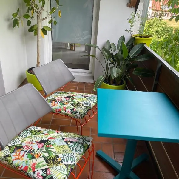 Blaues Zimmer -keine Küche- mit grossem Balkon, Bad ist ein Traum, nur 50 Schritte zum Radweg am Main, hotel em Mainstockheim