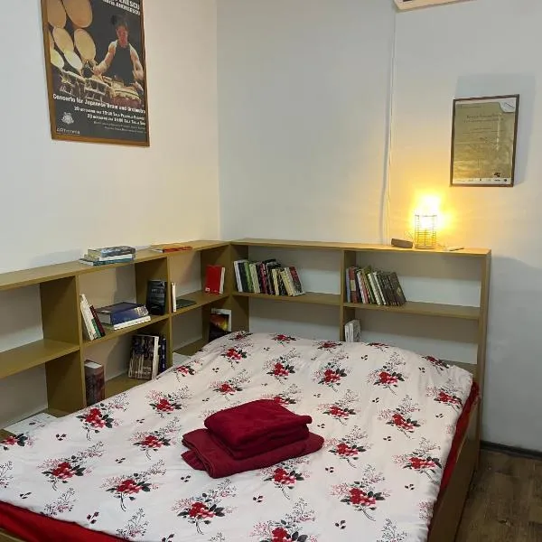 Bookworm Ultracentral Cozy, ultracentral apartment for people who appreciate comfort, details and books, hotel in Târgu-Mureş