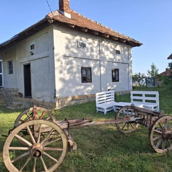 Dragačevska kuća na bregu- Heritage House, hotel en Viča