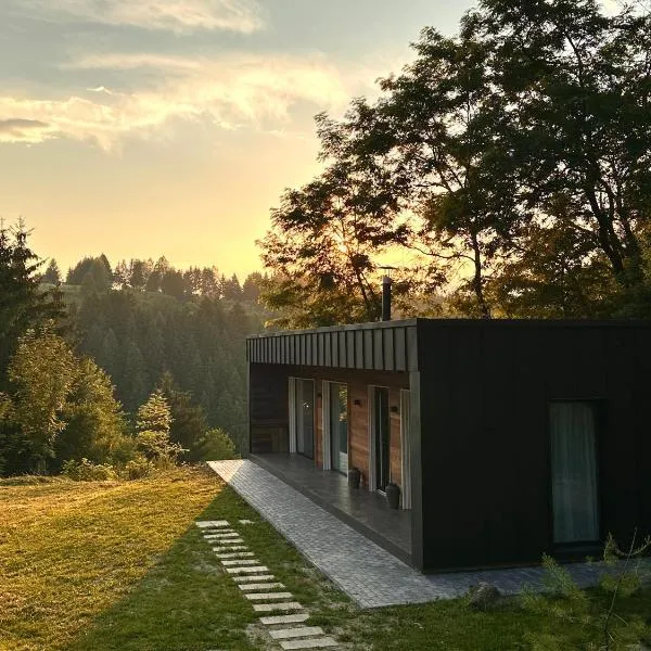 Cabana Forest, hotell sihtkohas Borşa