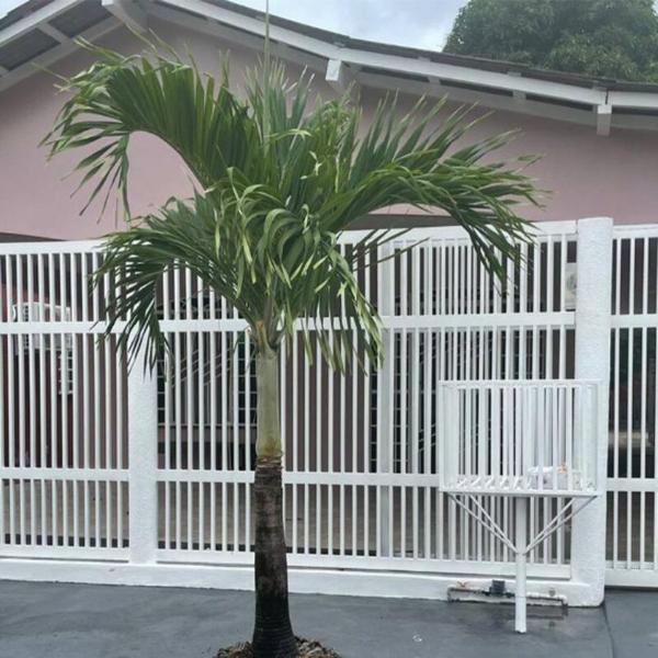 Boa Vista Home Office c/ Ar no Bairro Buritis