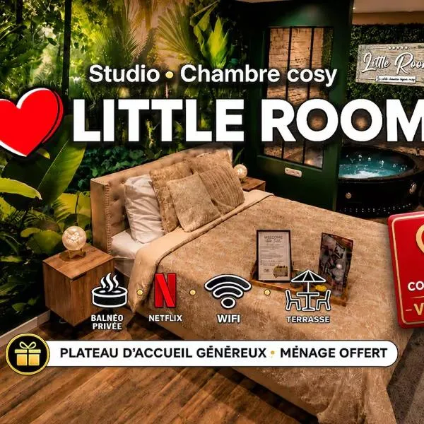 Appartement Chambre Cosy - Jacuzzi - Little Room Vendôme, ξενοδοχείο σε Vendome