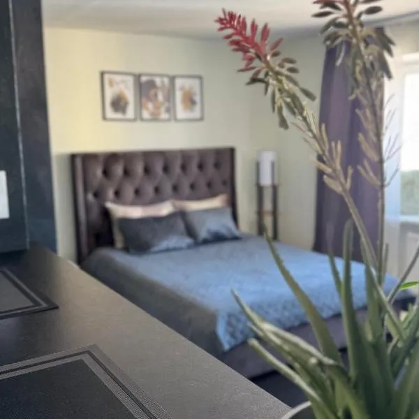 TEATRA Apartamenti, hotel v destinaci Liepāja