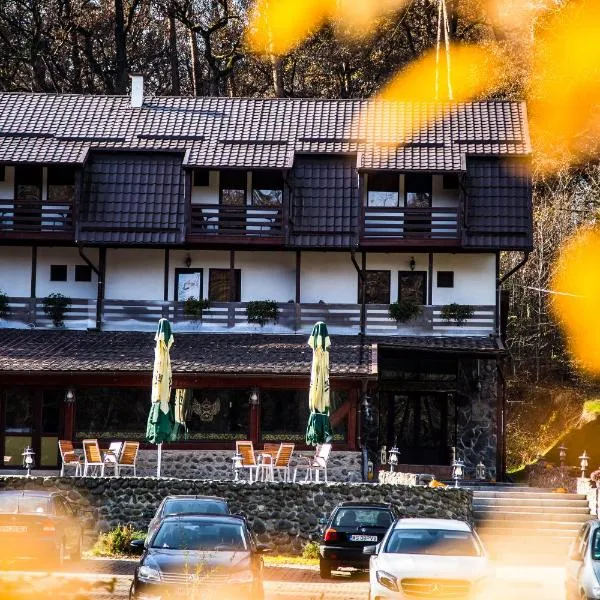 Hunter Vip, hotel en Ibăneşti