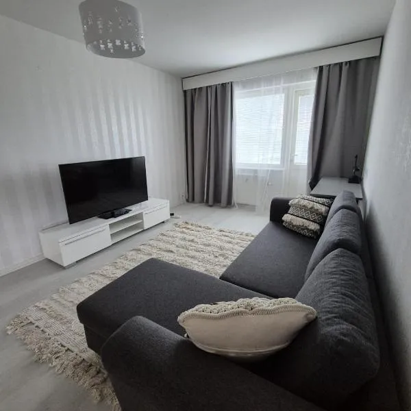 Viesnīca Apartments at Koulukatu pilsētā Savonlinna