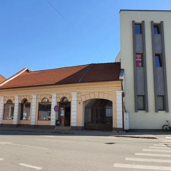 Sfântu-Gheorghe में, होटल Casa Róza Vendégház