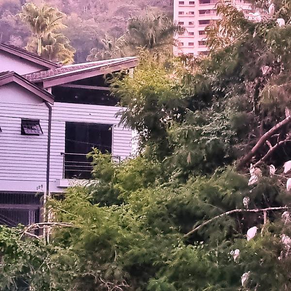 Casa Moderna bem no centro da Cidade de Socorro