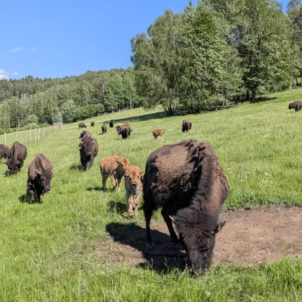 Caldisfarm Bison Lodge I Charmante Ferienwohnung im Landhausstil, מלון בקאספרסקה הורי