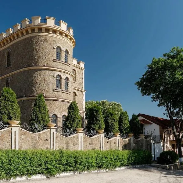 Hotel Chateau Cojusna, hotel en Cojuşna