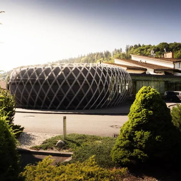 Hotel Eroplán, hotel in Rožnov pod Radhoštěm