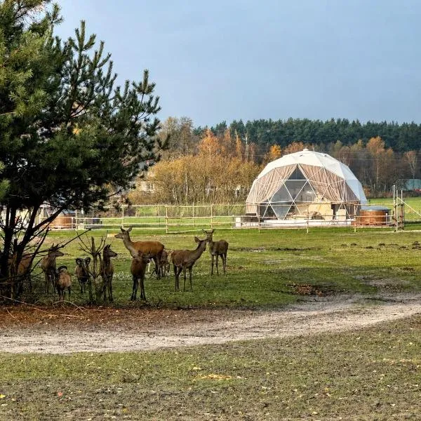 Ranczo Targówka - Domki i Glamping z balią i sauną wśród natury i zwierząt, hotel en Targówka