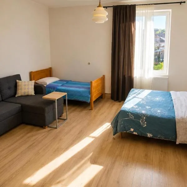 Tuz House R7, hotel in Bakuriani