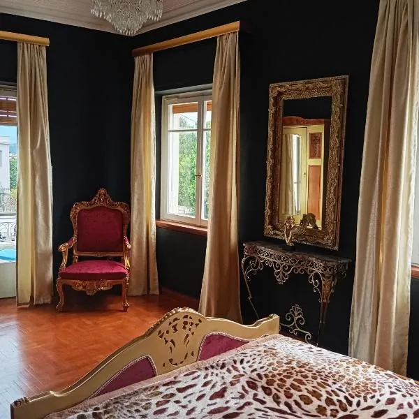 IRIS baroque apartment，位于埃莱夫西纳的酒店