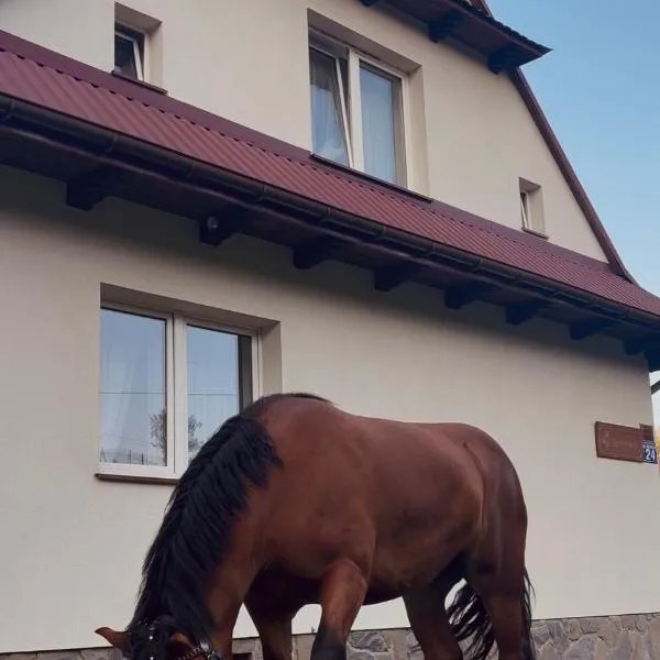 Apartamenty & Domek Gawędówka, מלון בקרושצ'נקו